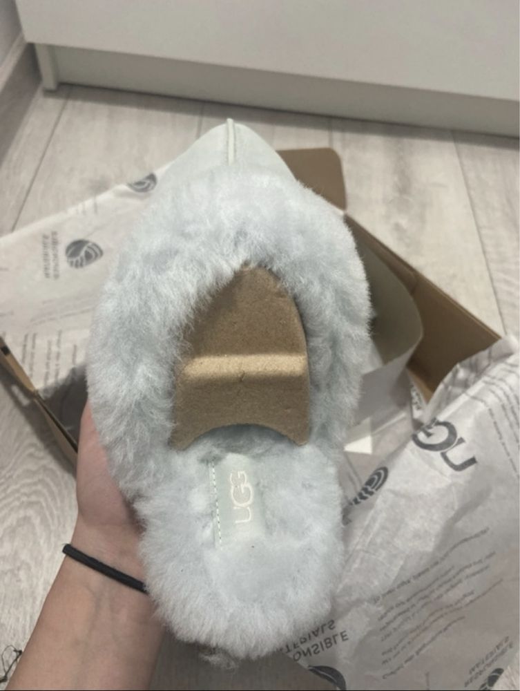 Ugg disquette NOI