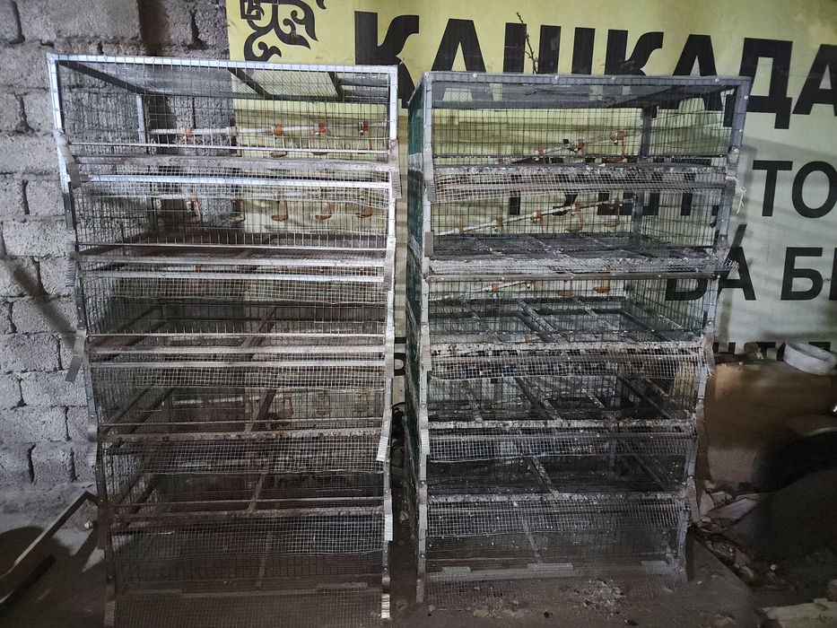 Бедана кафаси сотилади