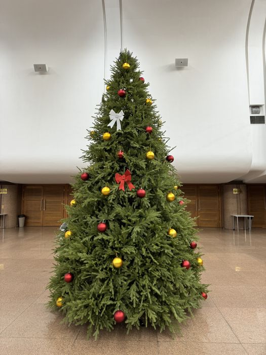 Елки в прокат/Аренда/ Новогодних Елок/Алматы