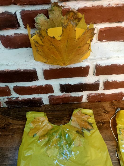 Costum material reciclabil Regele Toamnei