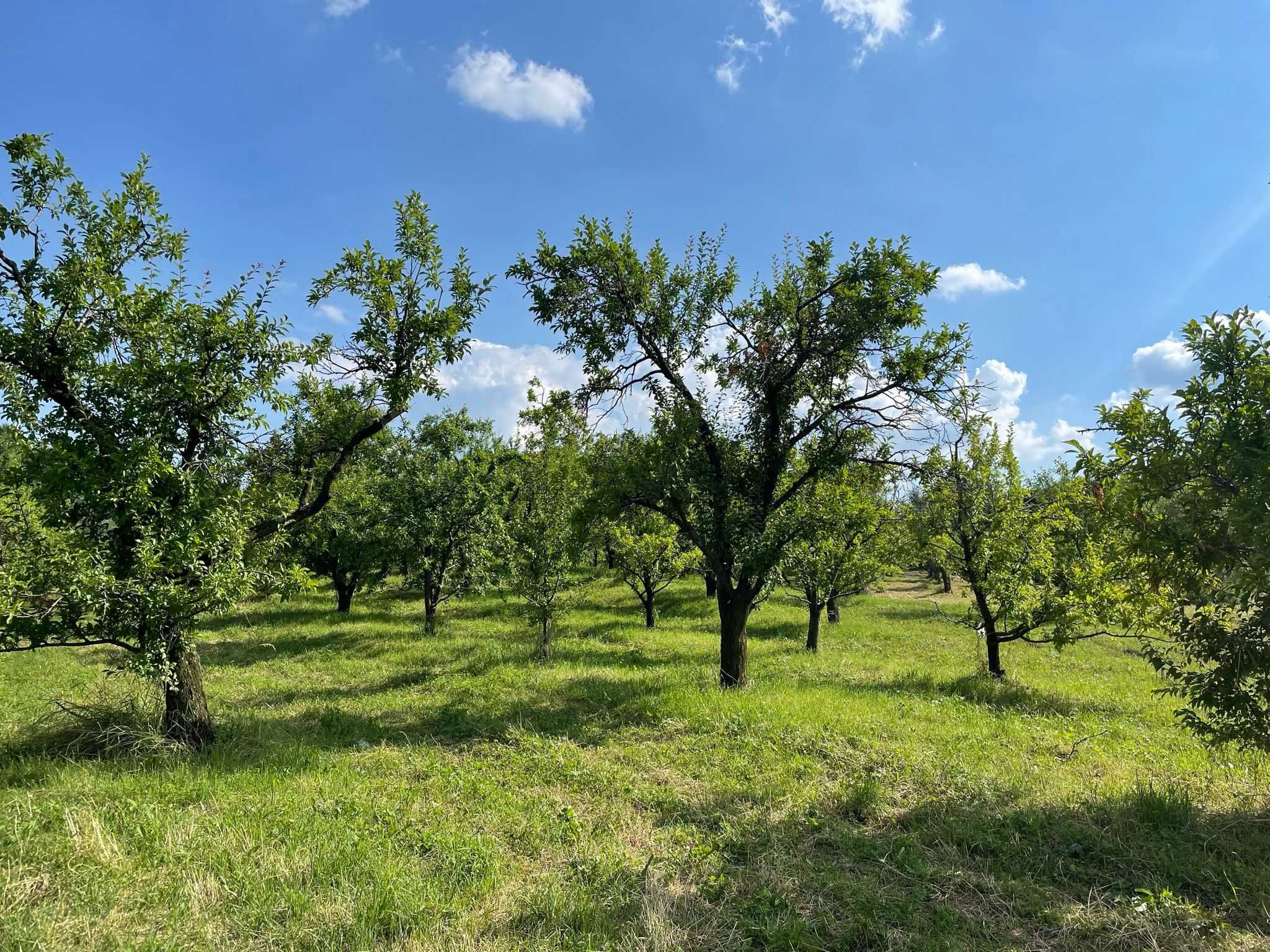 Teren în Breaza intravilan, 1256mp, peisaj superb