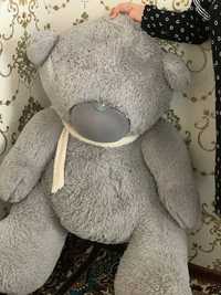 Teddy bear yangi