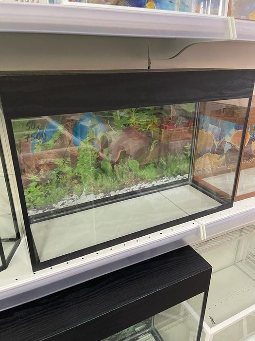 Аквариум на 50 литров в наличии и на заказ