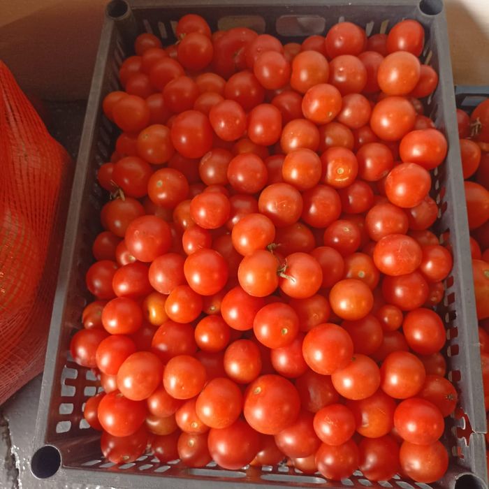 Продам помидоры черри