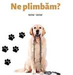 Plimb catei Sibiu!