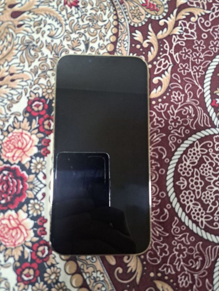 iPhone 13 pro max