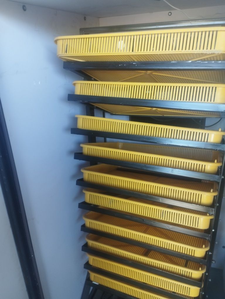 Inkubator 1000 инкубатор 1000