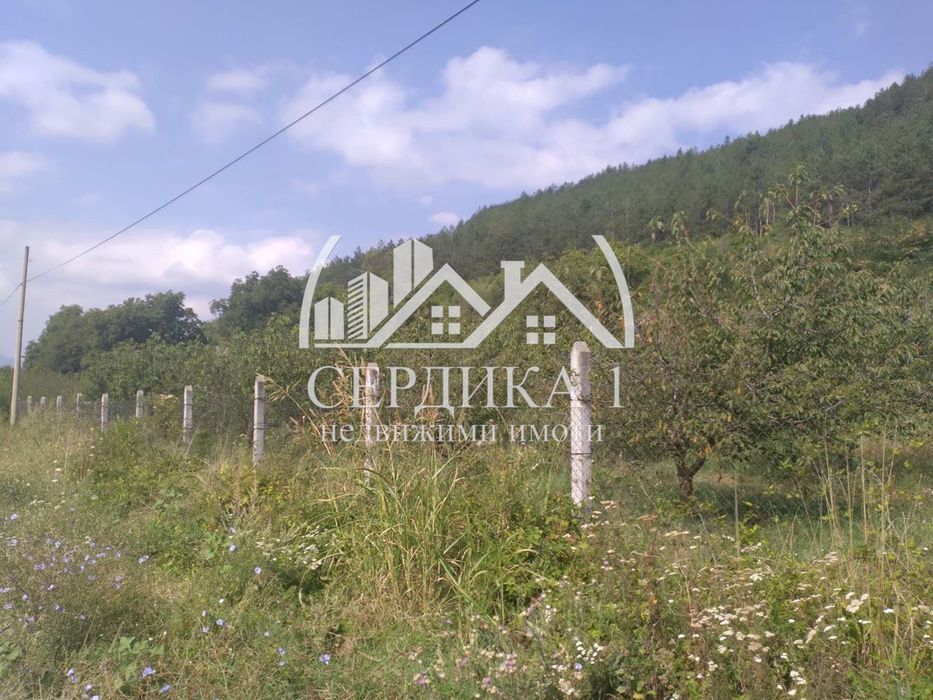 Продава се Парцел в с. Копиловци, Област Кюстендил - 3100 кв.м за 20 €/кв.м - Снимка #3