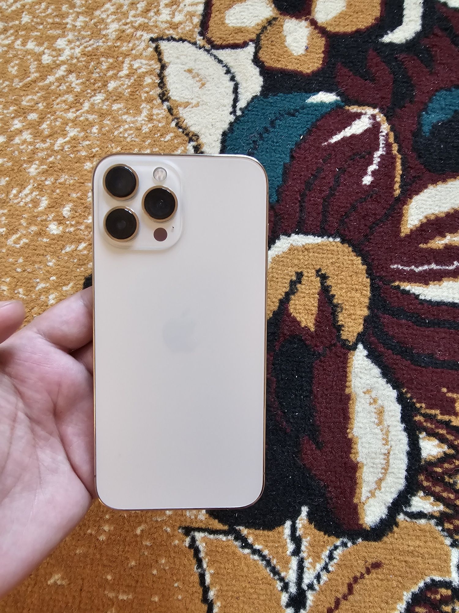 Iphone 13 pro max