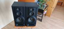 Тонколони Pioneer