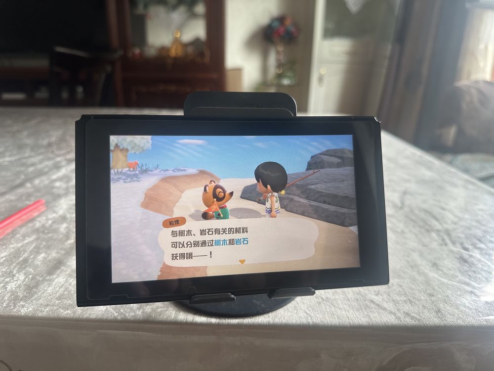 Nintendo  switch