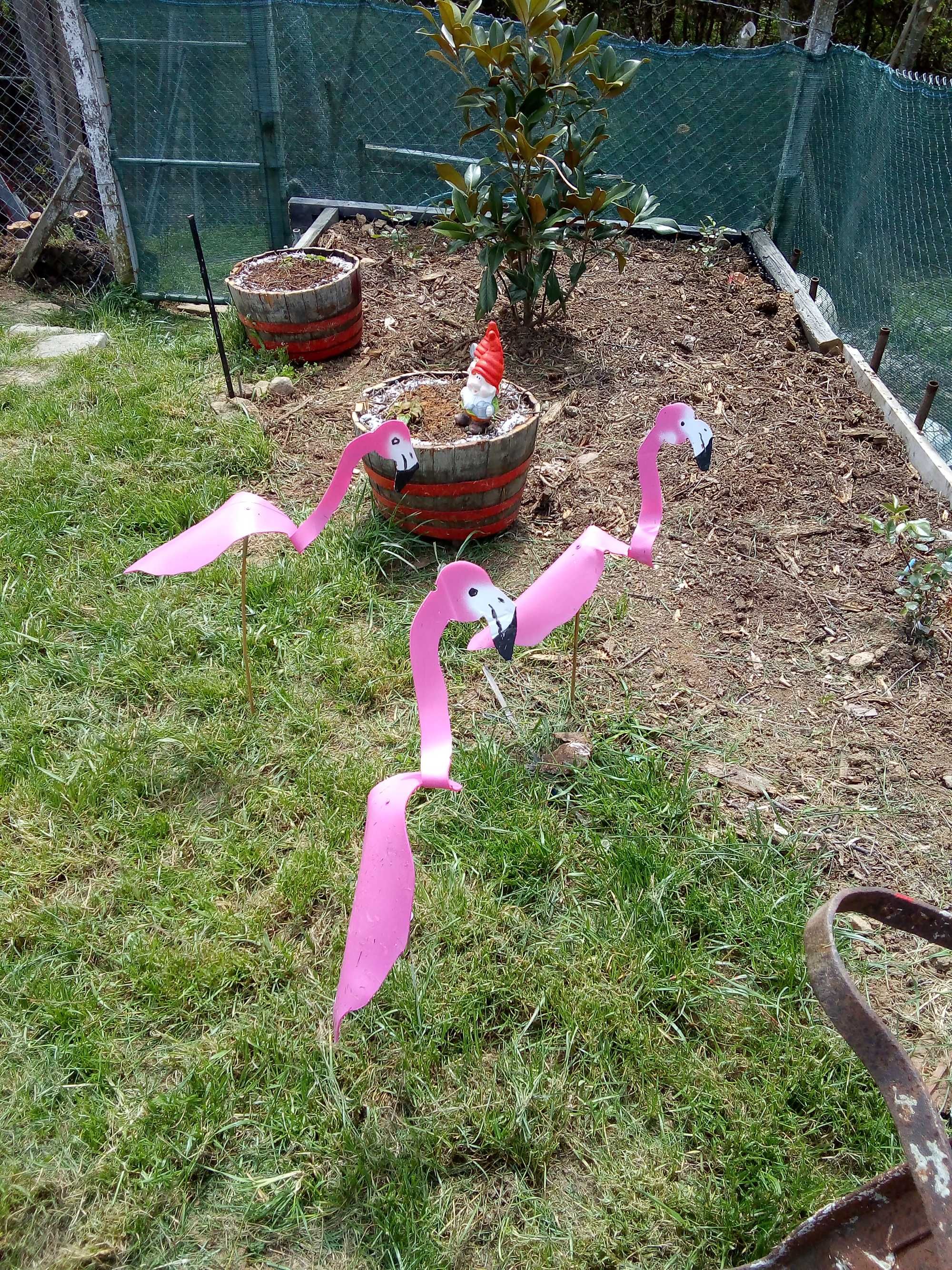 Въртящо се фламинго