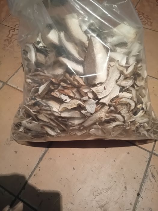 Pitonci, hribi  uscate