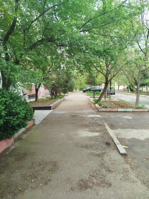 Своя 2/3/4 77-серия(сушилка) на Буз-2, 38-дом, Турон, Ялангач