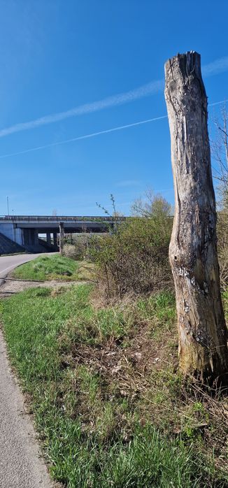 Vand  teren pe centura Ploiesti ideal parc industrial 30 euro/mp