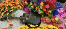 Akustik gitara ideal