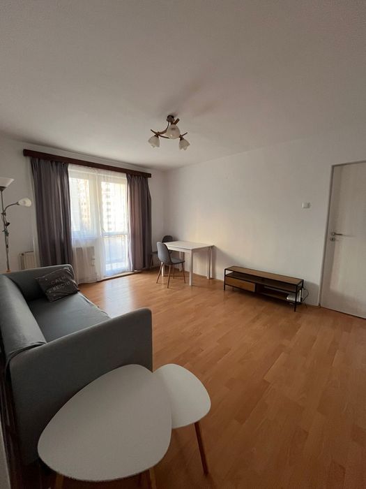 Pet Friendly! Apartament 3 Camere - strada Vasile Aaron