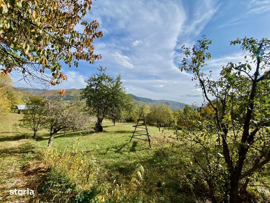 Teren retras panoramic Valea Doftanei 1350 mp panta lina, cu utilitati