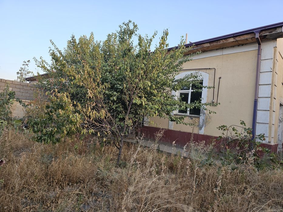 Арзон нархда подбизнес хам фойдаланиш мумкин булган Коттеж сотилади.
