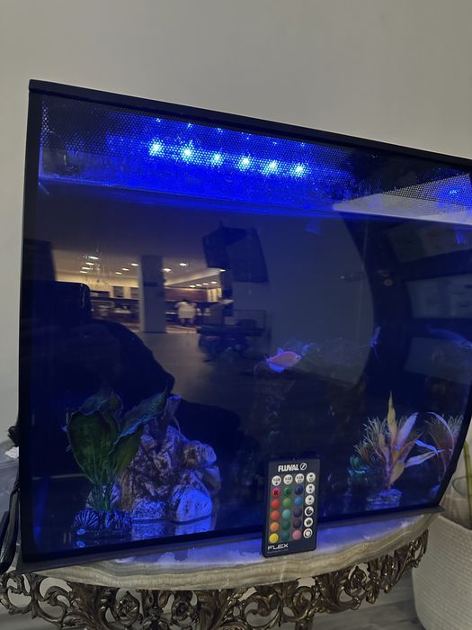 Аквариум Fluval с пълно оборудване