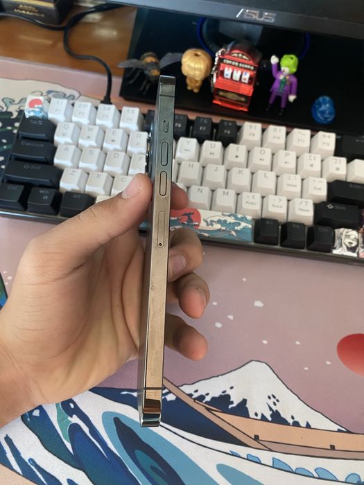 Vand iPhone 13 pro max