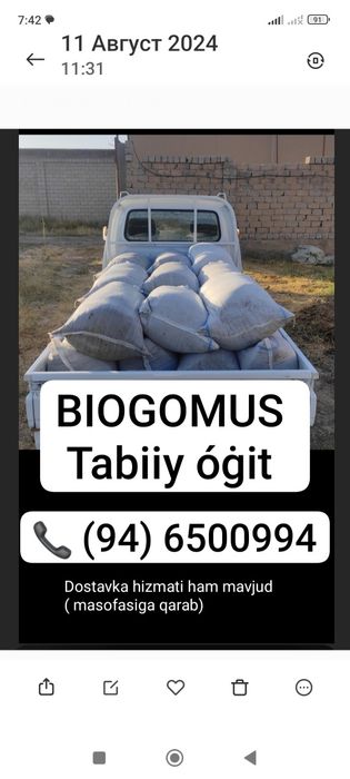 ЧУАЛЧАНГ, БИОГОМУС 500 су́м 1 кв