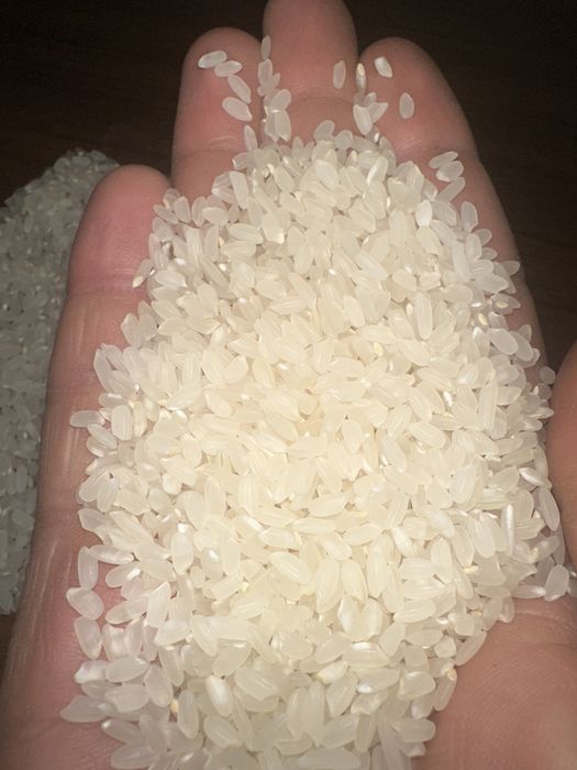 Guliston lideri guruchi