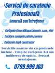 Servicii de curatenie profesionala