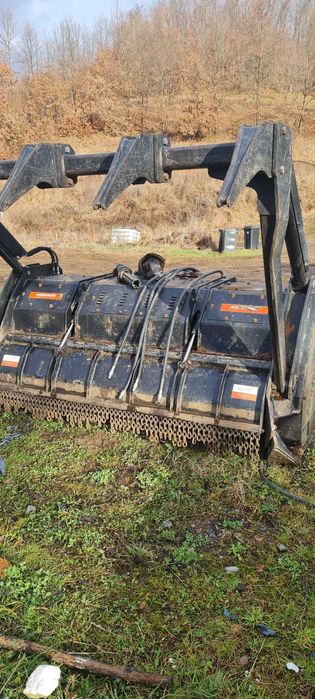 vind doua tocatori forestiere