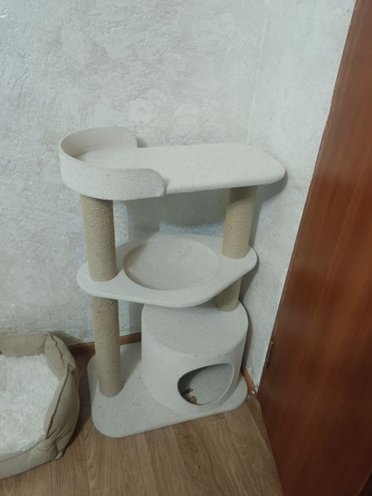 Лоток, переноска, домик для кошки