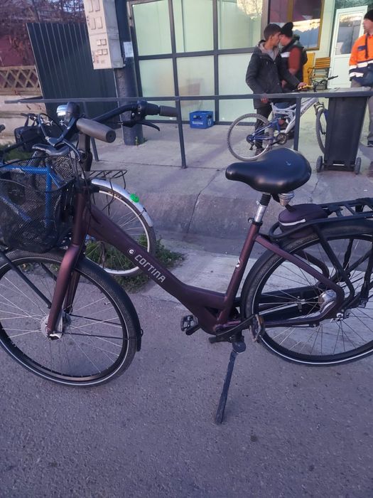 Vand bicicleta Cortina common family