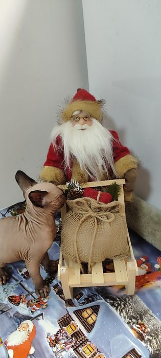 Канадски  Сфинкс