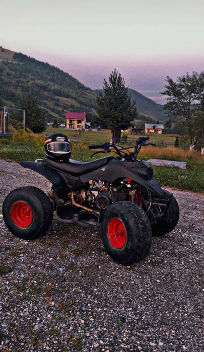 Atv Aspen rex  50