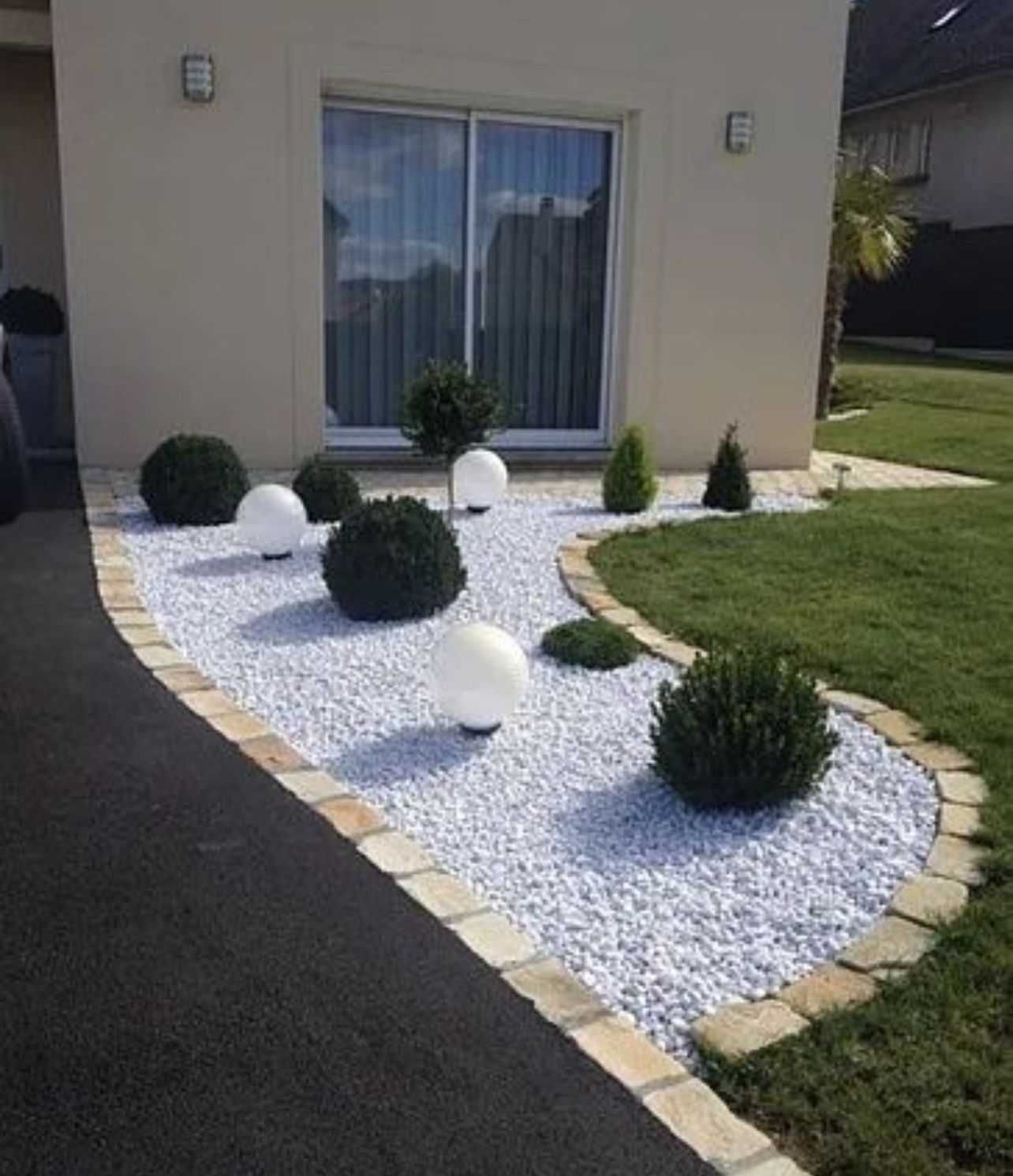 Plante ornamentale evergreen – frumusețe pe tot parcursul anului