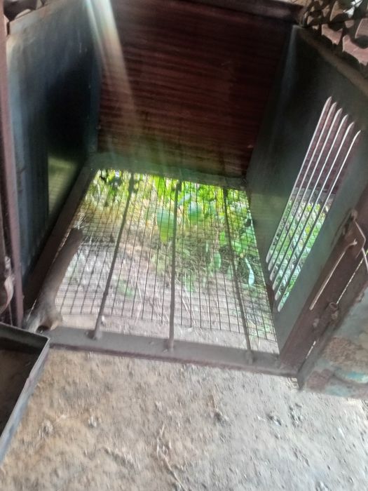 Яшики для кролика