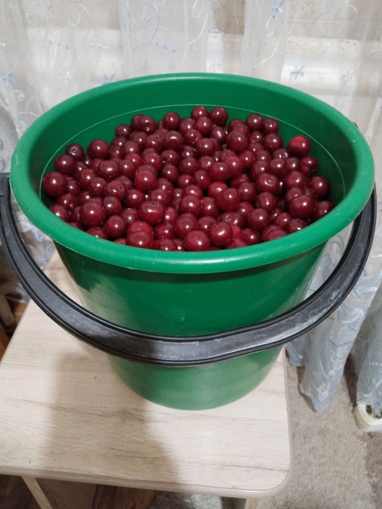 Продам не мелкую вишню