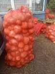 Продам картошку домашнюю