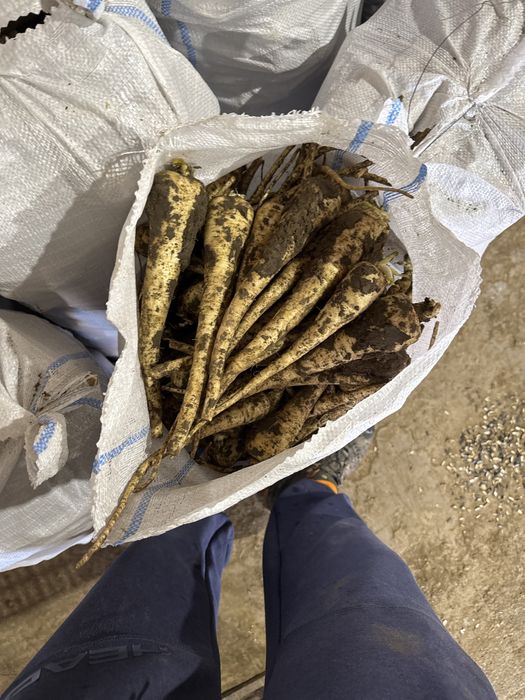 Legume si cereala de vanzare