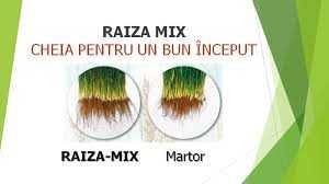 Raiza Mix - DAYMSA - Biostimulator de inradacinare cu aminoacizi