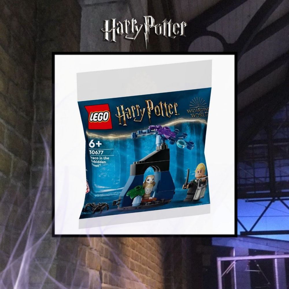 Lego Harry Pother полибег