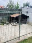 Casa caine din lemn mare