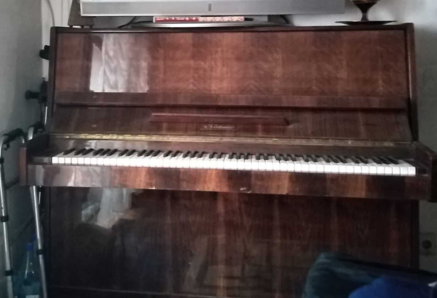 Pianina Nocturno