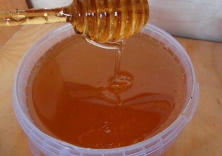 Продам мёд свежий оптом
