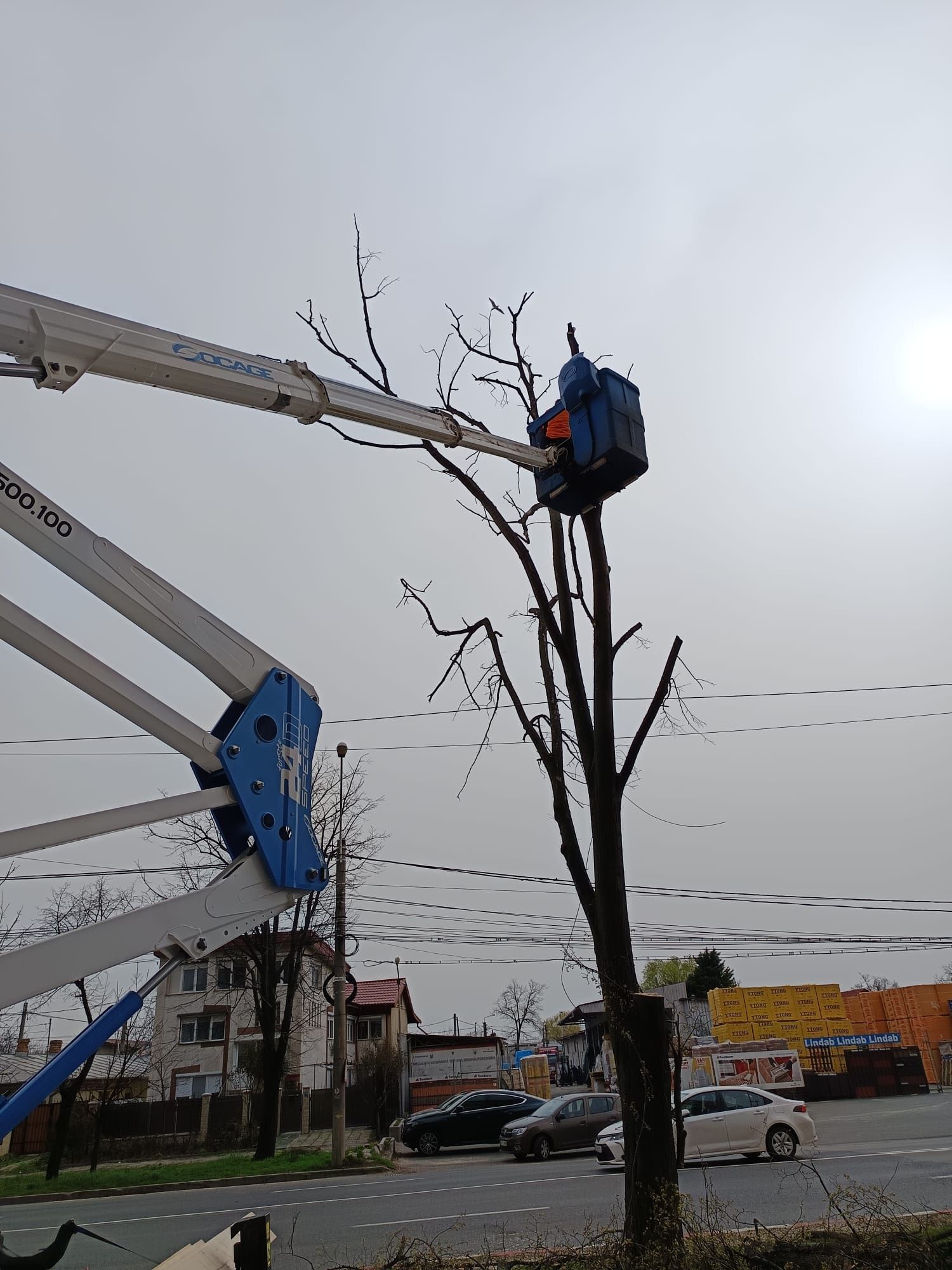 Tăier/Cosmetizare/Arbori Ieftin