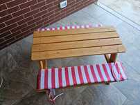Masuta picnic copii