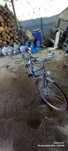 Biciclete de vanzare