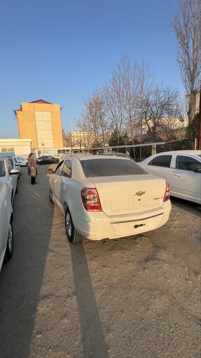 cobalt stayl MCM кобальт