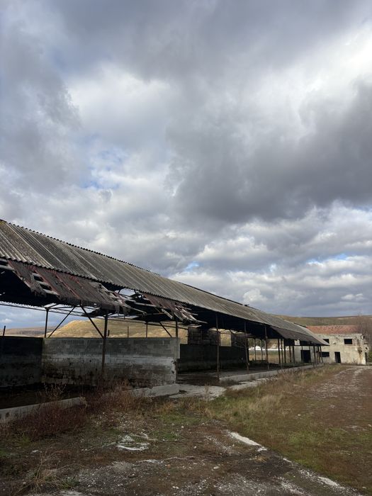 Pretabil Afacere Jumatate de Hectar cu 4 constructii