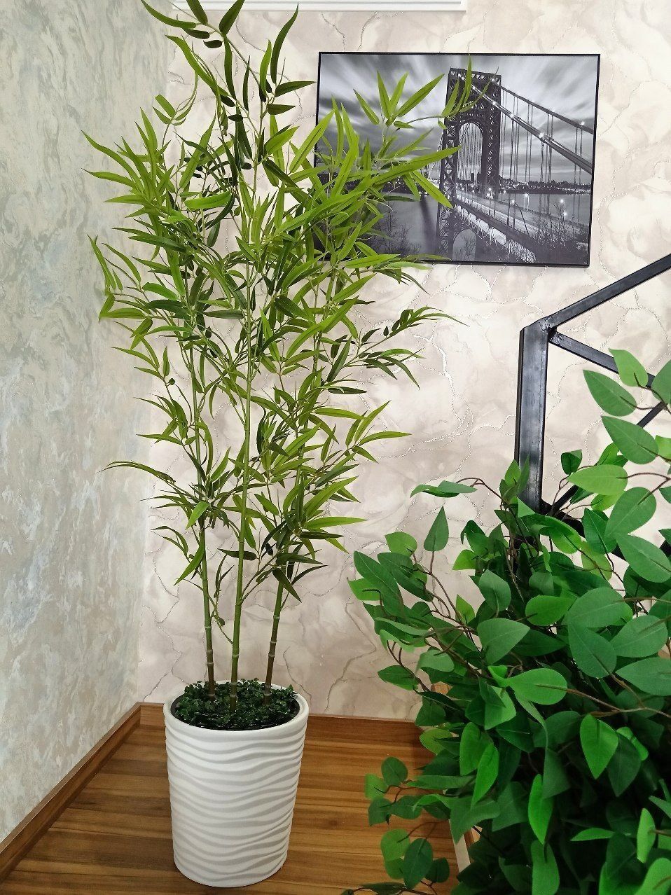 Суний гуллар ва дарахтлар олами мир и