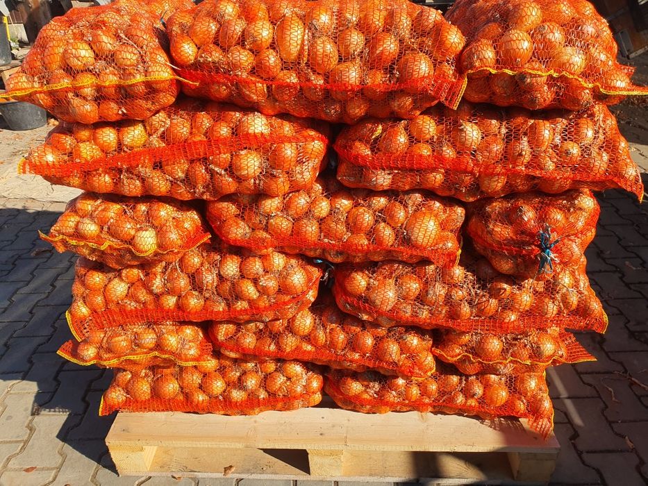 Ceapa rotunda diamant